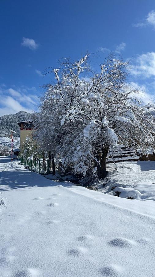 Aurora Hotel Shangri-La Dış mekan fotoğraf